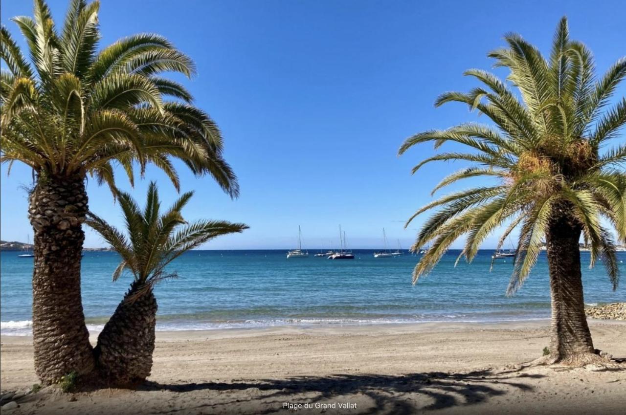 Bandol: Elegant Et Cosy 2 Pieces, Proche Ville Et Plage Exteriér fotografie